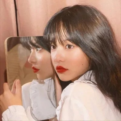 挎斗摩托车里的狗